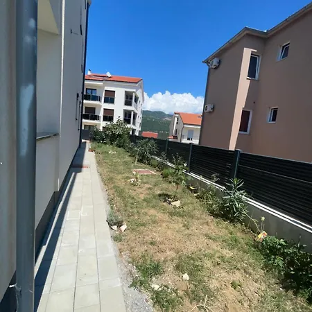 Novi *